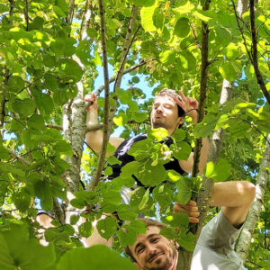 Reconnexion avec la nature