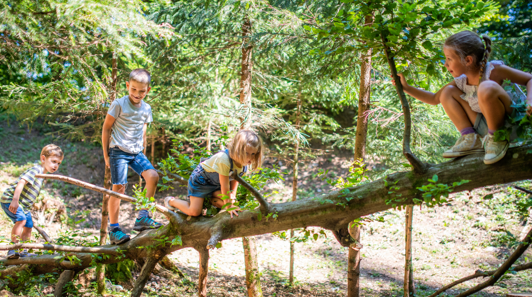 Sortir les enfants en forêt, un carrefour de rencontres avec soi et les autres
